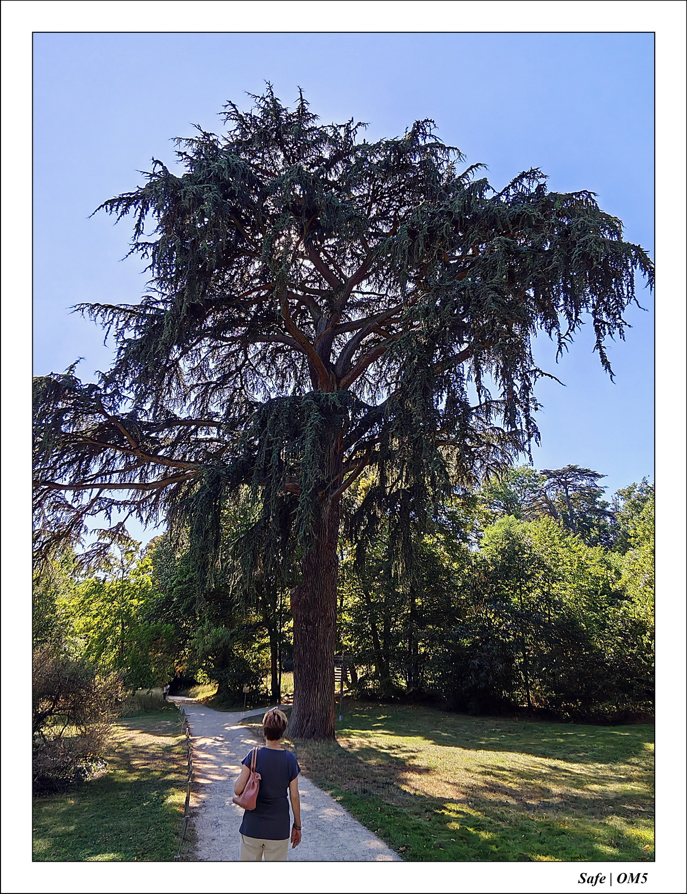 2025 - 08 - Vallée des loups - 43